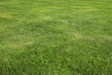 Achieving the Perfect Lawn: The Art and Science of Core Aeration