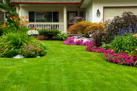 From Bare to Beautiful: Transforming Your Lawn with Professional Fertilizing Services